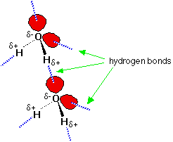 Why does hydrogen bonding occur?