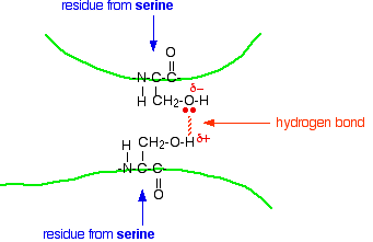 Why does hydrogen bonding occur?