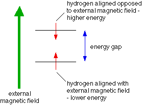 the to nuclear resonance (nmr) spectroscopy