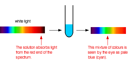 Ion Color Chart Pdf