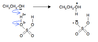 dehydration ethanol to ethene