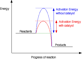 The effect of catalysts on rates of reaction